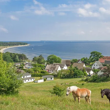 Rex Rugia Haus 17 01