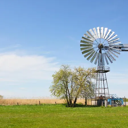 Rex Rugia Haus 17 01 Lejlighed